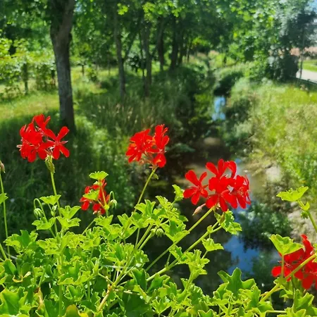 Apartman Familienfreundliche Im Schoenen By Interhome Reisenberg