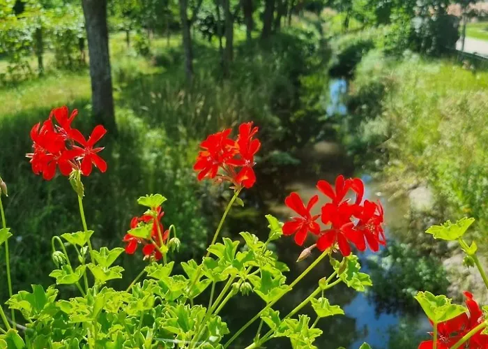 Apartamento Familienfreundliche Im Schoenen By Interhome Reisenberg
